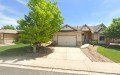 Design Build Colorado