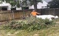 E.C. Design Builds Inc