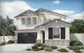 Newport Homes