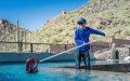 Crystal Falls Pool Services