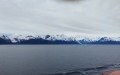 Alaska Conservation Foundation