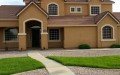 Life in Color Painting Services