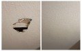 1st Choice Drywall Repair, LLC