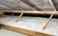 Geo-Insulation & Nuisance Wildlife Removal Services, LLC
