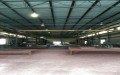 Service Steel, Inc.