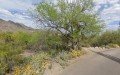 Arizona Concrete & Framing