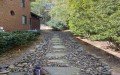 Richter Landscape Company LLC.
