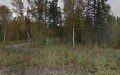 C & B Timber of Alaska