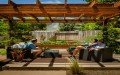 Black Mountain Landscape Design