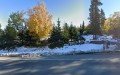 Alaska Landscaping