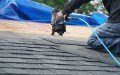 Elevated Roofing