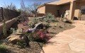 Tranquil Oasis Landscapes
