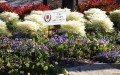 Lakewood Landscape Group