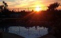 Sunset Pool Company - Remodeling