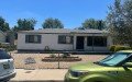 Phoenix Roofing