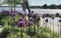 Walnut Hill Landscape Company