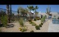 Phoenix Pro Landscaping & Lawn Care Services