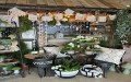 Greenleaf Landscaping & Gardens