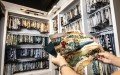 DMC Design Custom Interiors