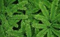 Eco Harmony Landscape & Design