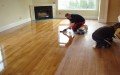 FloorGem Services, Inc