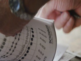 Schemmer - Photo 4