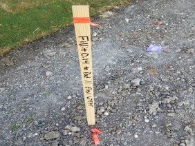 Roome Land Surveying - Photo 1