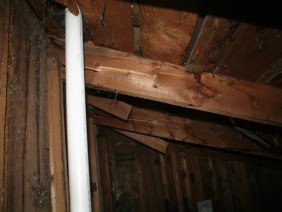 Structurally Framed, Inc. - Photo 1