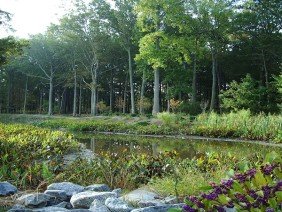 WPL Land Design - Photo 2