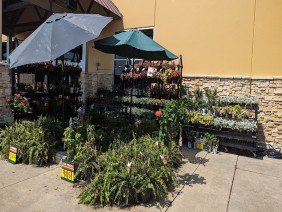 H-E-B - Photo 3