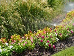 Quality Creative Landscaping - Photo 4