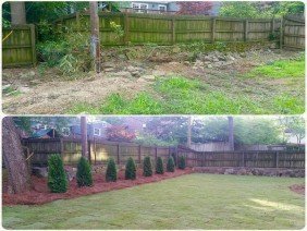 DSLD Land Management Company - Photo 4