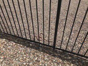Arizona Snake Fence - Photo 7