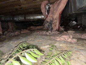 Ox Foundation Solutions - Photo 1
