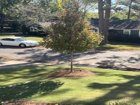 Richter Landscape Company LLC. - Photo 5
