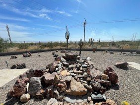 The Desert Root Landscape, Pavers, Turf and Design - Photo 1