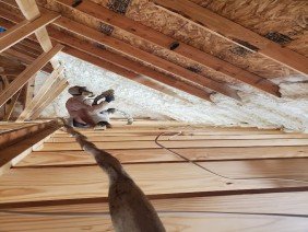 Alabama Spray Foam - Photo 0