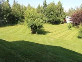 No Mow Worries - Photo 0