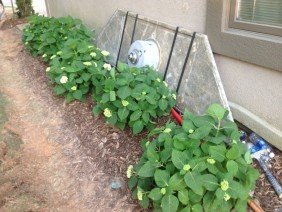 Gardner Landscaping LLC - Photo 4