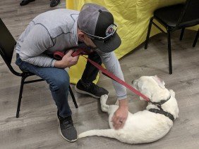 Encore Floors - Photo 4