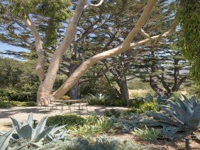 Patricia Benner Landscape Design - Photo 1