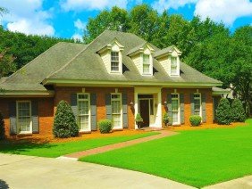 BTOPS Landscaping, Inc. - Photo 3