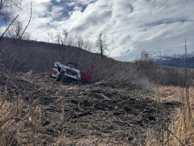 Gage Tree Service - Photo 2