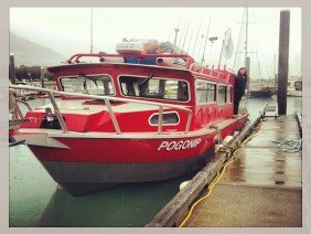 Alaska Frontier Fabrication - Photo 0