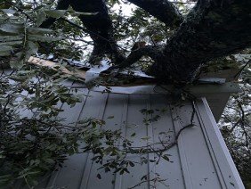 DynoDry Roofing & Construction Services - Photo 1
