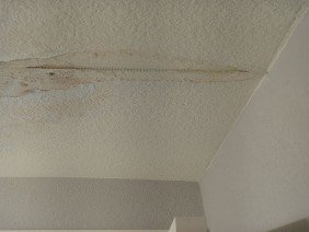 Phoenix Drywall Repair LLC - Photo 1