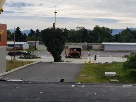 Gage Tree Service - Photo 4
