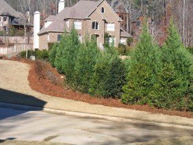 Gardner Landscaping LLC - Photo 5
