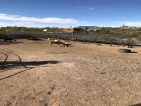 Seven Peaks Fence and Barn - Photo 6
