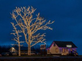 Gage Tree Service - Photo 0